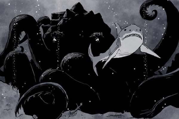 Kraken 18