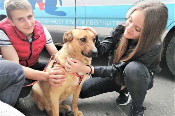 Кракен даркнет ссылка зеркало