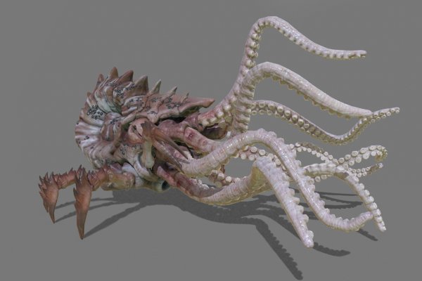Ссылки зеркала на kraken kraken dark link