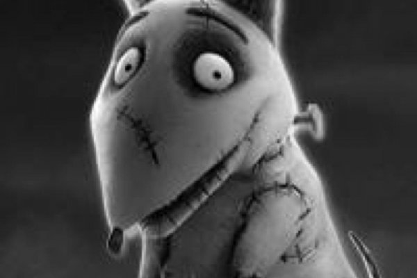 Krakin12 at